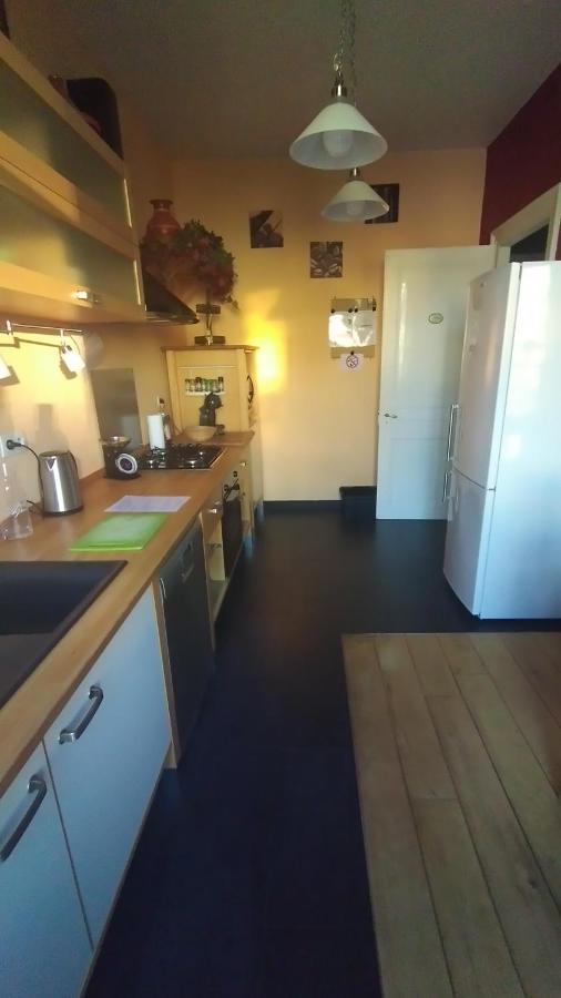 Le Grand Charpentier Apartment Mulhouse Exterior photo